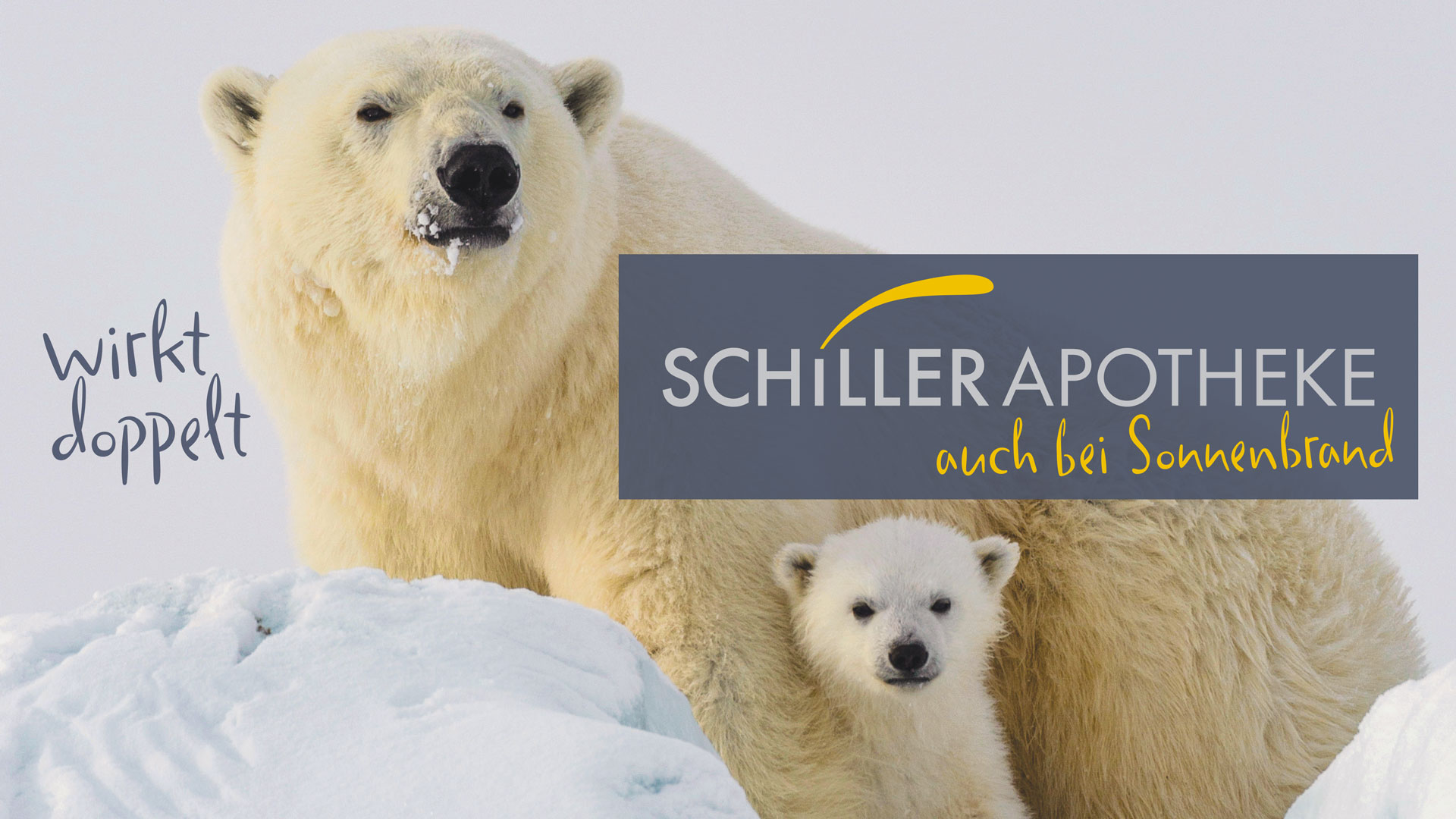 Zwei Eisbären in der Arktis mit dem Spruch Schiller Apotheke auch bei Sonnenbrand