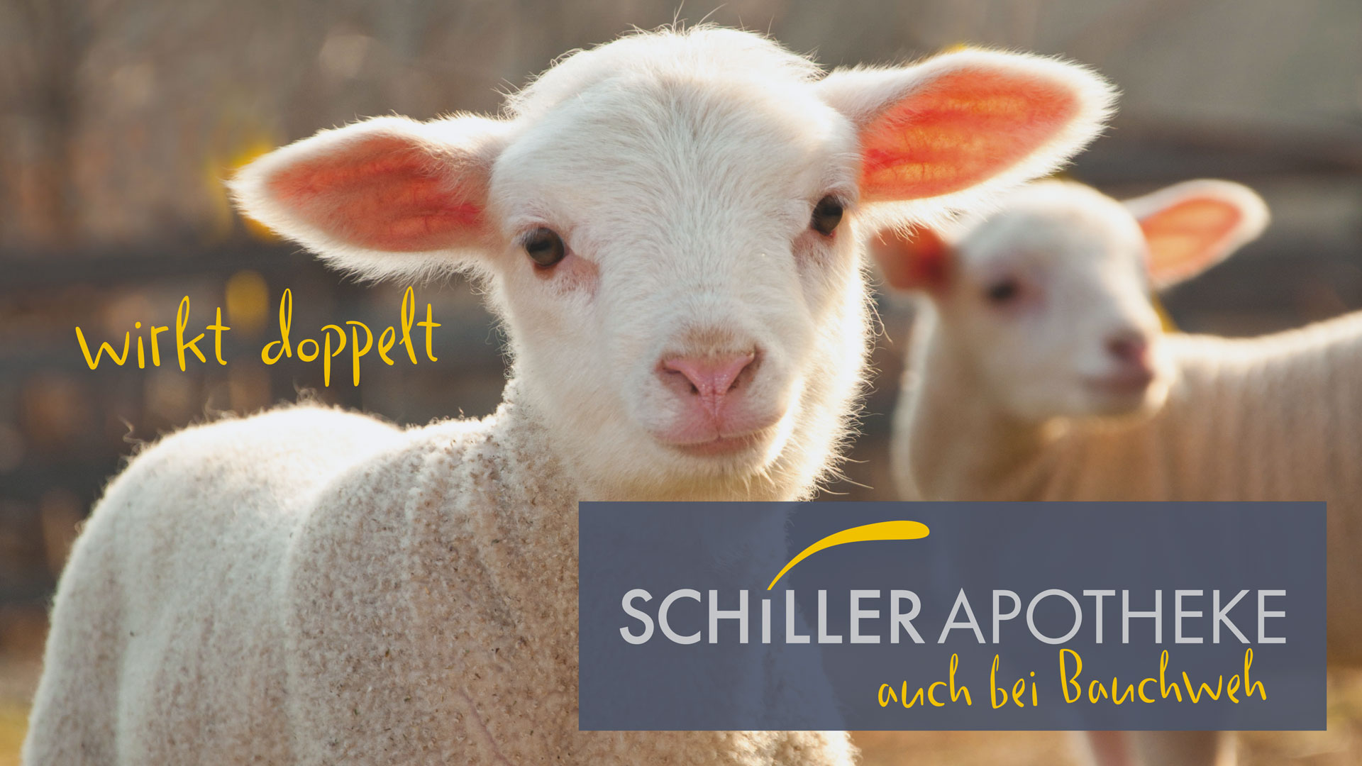 Zwei Ziegen auf der Weide mit dem Logo Schiller Apotheke wirkt doppelt auch bei Bauchweh