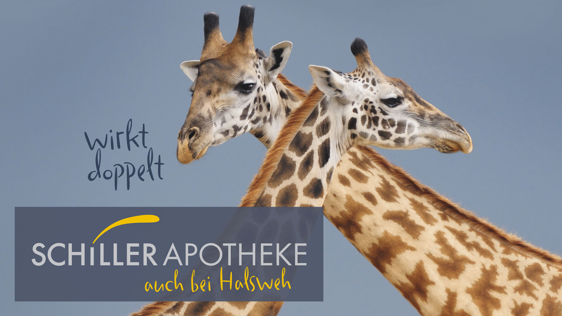 Zwei Giraffen die die Hälse überkreuzen mit dem Logo Schiller Apotheke wirkt doppelt auch bei Halsweh